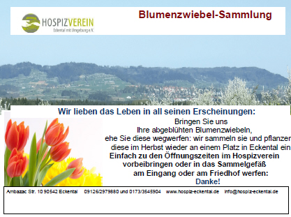 hve_240326%20Blumenzwiebeln_flyer